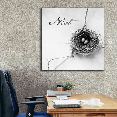Image of 'Nest and Branch IV - Nest B&W' by Debra Van Swearingen, Canvas Wall Art,37 x 37