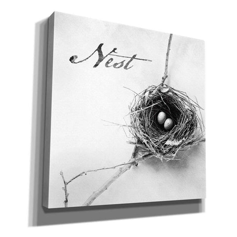 Image of 'Nest and Branch IV - Nest B&W' by Debra Van Swearingen, Canvas Wall Art,12x12x1.1x0,18x18x1.1x0,26x26x1.74x0,37x37x1.74x0
