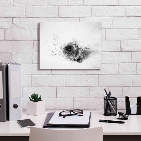 Image of 'Nestled III' by Debra Van Swearingen, Canvas Wall Art,16 x 12
