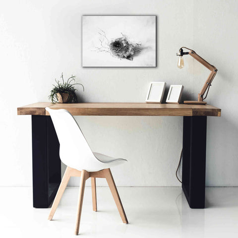 Image of 'Nestled III' by Debra Van Swearingen, Canvas Wall Art,26 x 18