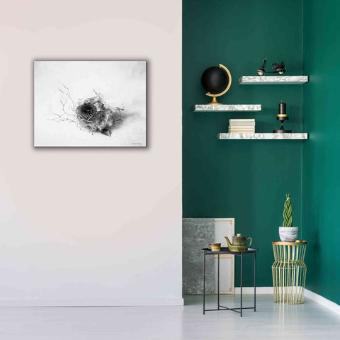 Image of 'Nestled III' by Debra Van Swearingen, Canvas Wall Art,34 x 26