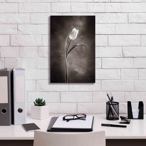 Image of 'Two Tone Tulips I' by Debra Van Swearingen, Canvas Wall Art,12 x 18