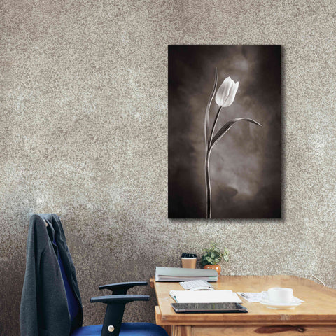Image of 'Two Tone Tulips I' by Debra Van Swearingen, Canvas Wall Art,26 x 40