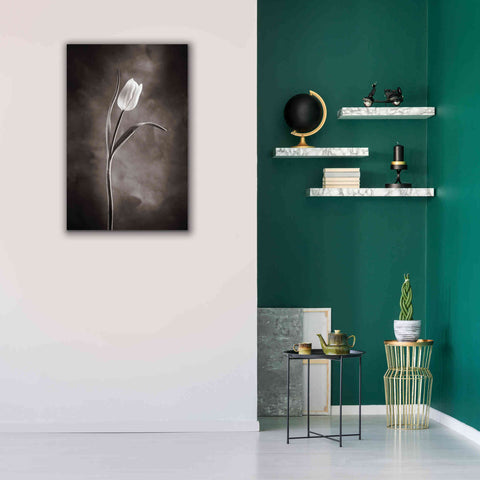 Image of 'Two Tone Tulips I' by Debra Van Swearingen, Canvas Wall Art,26 x 40