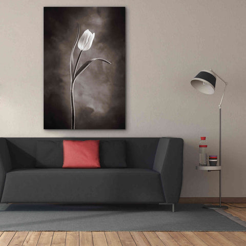 Image of 'Two Tone Tulips I' by Debra Van Swearingen, Canvas Wall Art,40 x 60