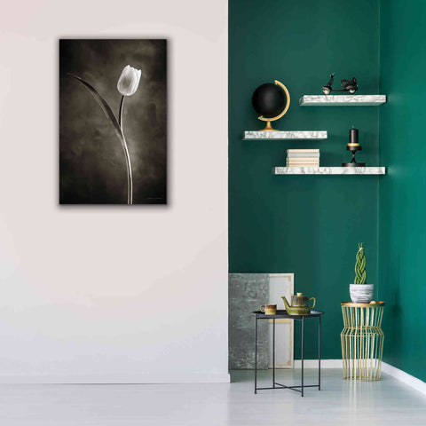 Image of 'Two Tone Tulips II' by Debra Van Swearingen, Canvas Wall Art,26 x 40