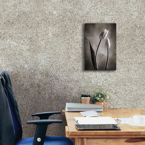 Image of 'Two Tone Tulips III' by Debra Van Swearingen, Canvas Wall Art,12 x 18