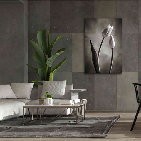 Image of 'Two Tone Tulips III' by Debra Van Swearingen, Canvas Wall Art,40 x 60