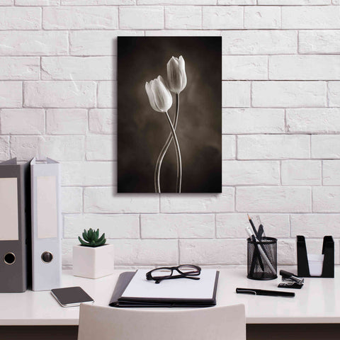 Image of 'Two Tone Tulips V' by Debra Van Swearingen, Canvas Wall Art,12 x 18