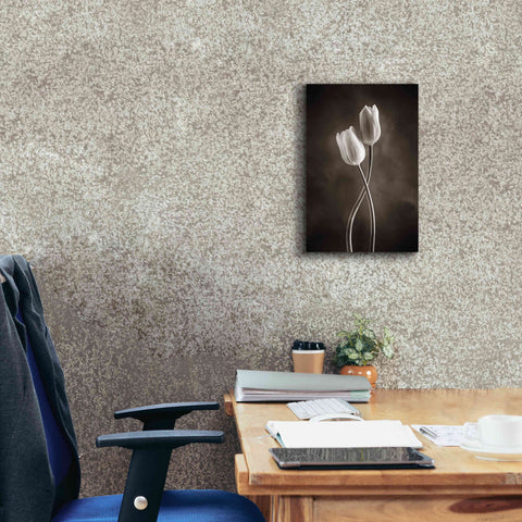 Image of 'Two Tone Tulips V' by Debra Van Swearingen, Canvas Wall Art,12 x 18