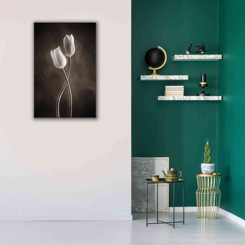 Image of 'Two Tone Tulips V' by Debra Van Swearingen, Canvas Wall Art,26 x 40