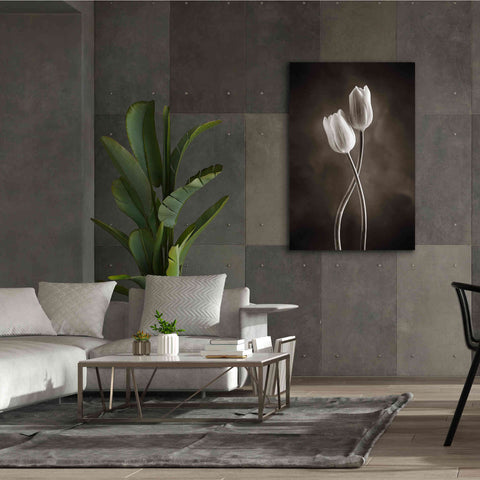 Image of 'Two Tone Tulips V' by Debra Van Swearingen, Canvas Wall Art,40 x 60