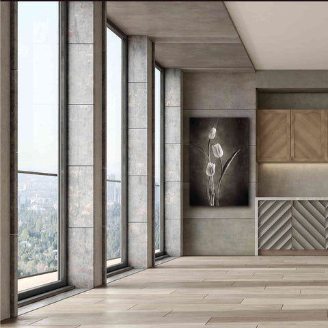 Image of 'Two Tone Tulips VIII' by Debra Van Swearingen, Canvas Wall Art,40 x 60