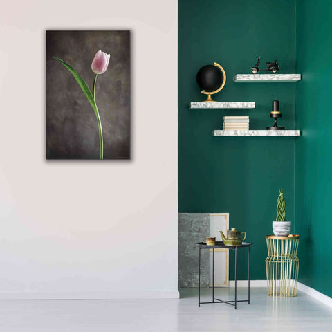 Image of 'Spring Tulips II' by Debra Van Swearingen, Canvas Wall Art,26 x 40