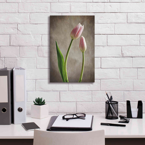 Image of 'Spring Tulips III' by Debra Van Swearingen, Canvas Wall Art,12 x 18