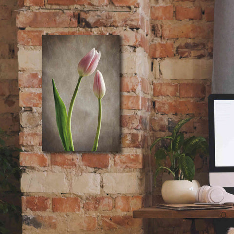 Image of 'Spring Tulips III' by Debra Van Swearingen, Canvas Wall Art,12 x 18