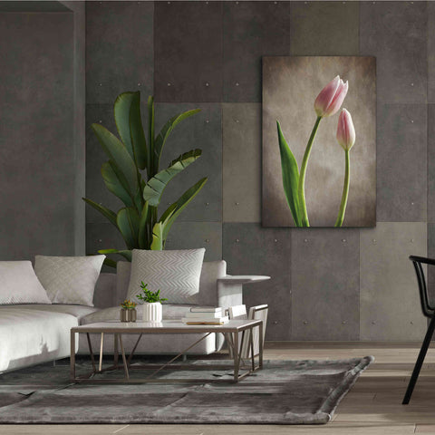 Image of 'Spring Tulips III' by Debra Van Swearingen, Canvas Wall Art,40 x 60