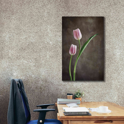 Image of 'Spring Tulips IV' by Debra Van Swearingen, Canvas Wall Art,26 x 40