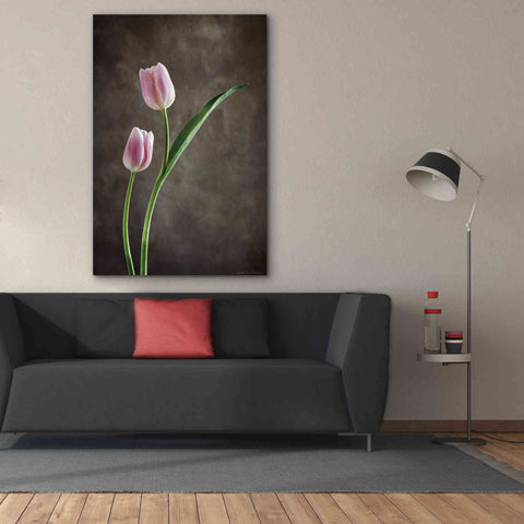 Image of 'Spring Tulips IV' by Debra Van Swearingen, Canvas Wall Art,40 x 60