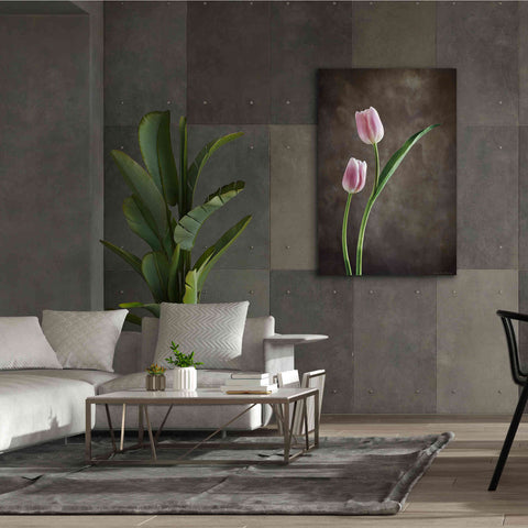 Image of 'Spring Tulips IV' by Debra Van Swearingen, Canvas Wall Art,40 x 60
