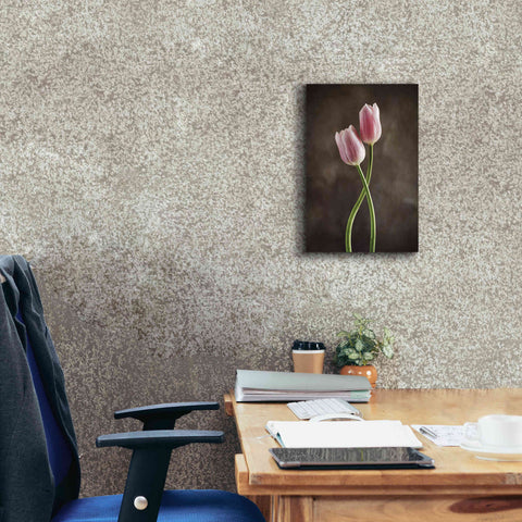 Image of 'Spring Tulips V' by Debra Van Swearingen, Canvas Wall Art,12 x 18