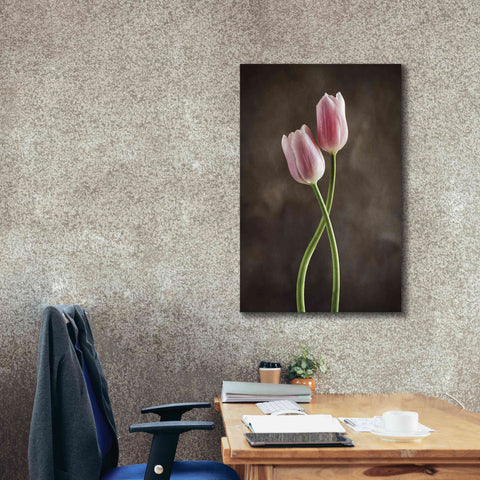 Image of 'Spring Tulips V' by Debra Van Swearingen, Canvas Wall Art,26 x 40