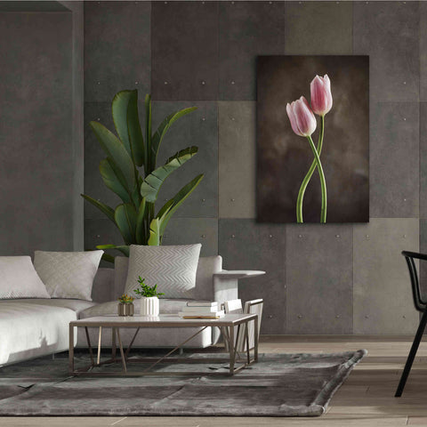 Image of 'Spring Tulips V' by Debra Van Swearingen, Canvas Wall Art,40 x 60