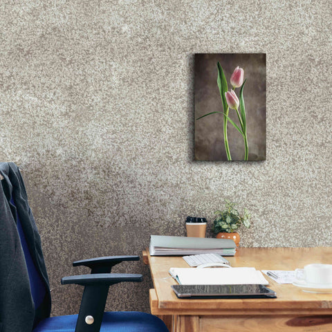 Image of 'Spring Tulips VI' by Debra Van Swearingen, Canvas Wall Art,12 x 18