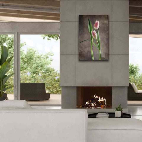 Image of 'Spring Tulips VI' by Debra Van Swearingen, Canvas Wall Art,26 x 40
