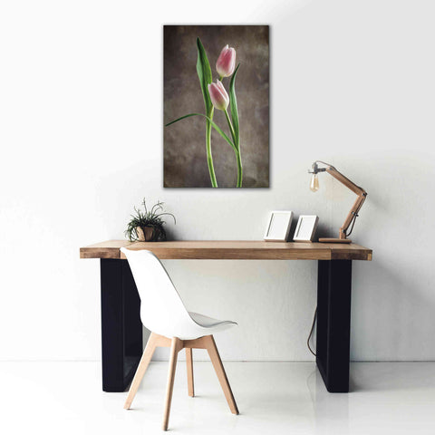 Image of 'Spring Tulips VI' by Debra Van Swearingen, Canvas Wall Art,26 x 40