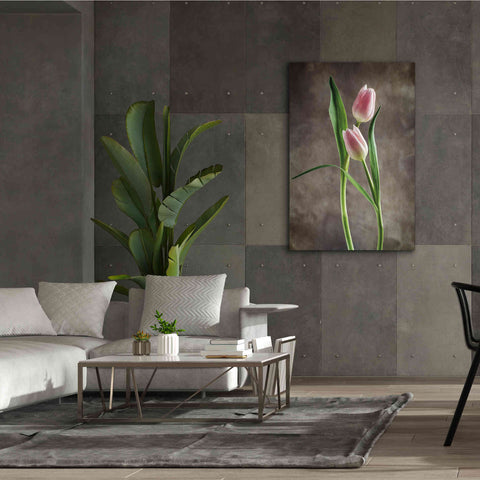 Image of 'Spring Tulips VI' by Debra Van Swearingen, Canvas Wall Art,40 x 60