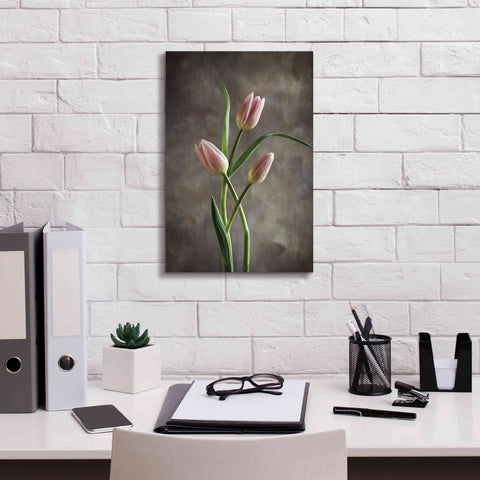 Image of 'Spring Tulips VII' by Debra Van Swearingen, Canvas Wall Art,12 x 18