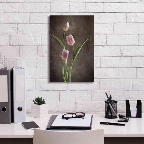 Image of 'Spring Tulips VIII' by Debra Van Swearingen, Canvas Wall Art,12 x 18
