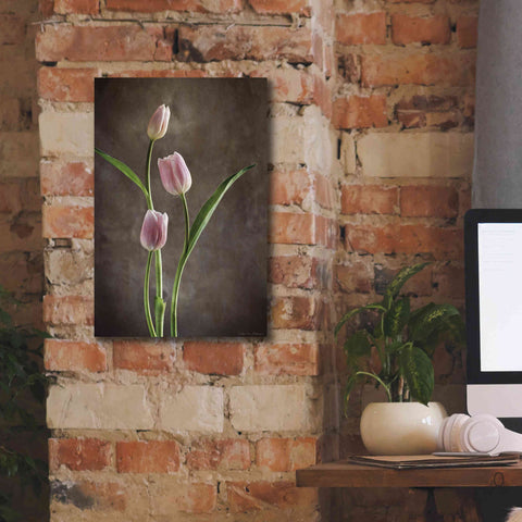 Image of 'Spring Tulips VIII' by Debra Van Swearingen, Canvas Wall Art,12 x 18