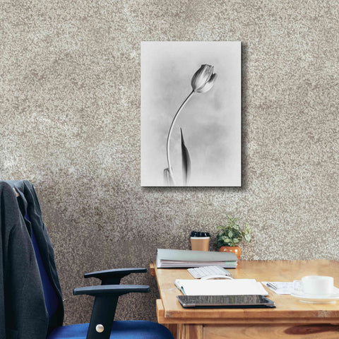 Image of 'Soft Tulips I' by Debra Van Swearingen, Canvas Wall Art,18 x 26