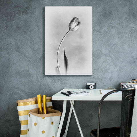Image of 'Soft Tulips I' by Debra Van Swearingen, Canvas Wall Art,18 x 26