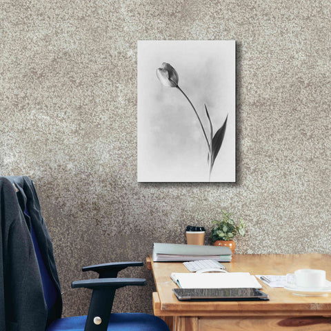 Image of 'Soft Tulips II' by Debra Van Swearingen, Canvas Wall Art,18 x 26