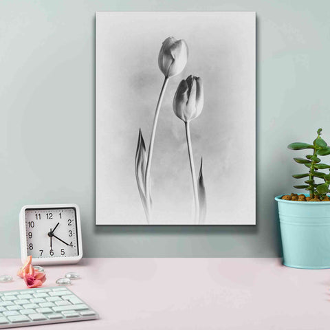 Image of 'Soft Tulips III' by Debra Van Swearingen, Canvas Wall Art,12 x 16