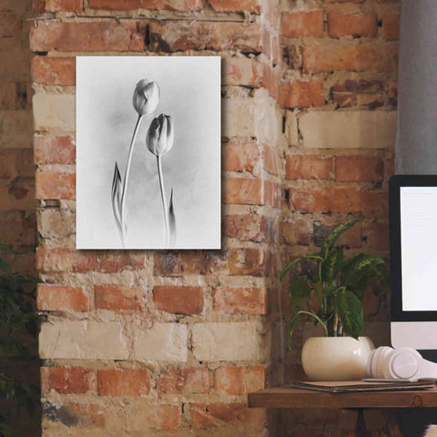 Image of 'Soft Tulips III' by Debra Van Swearingen, Canvas Wall Art,12 x 16