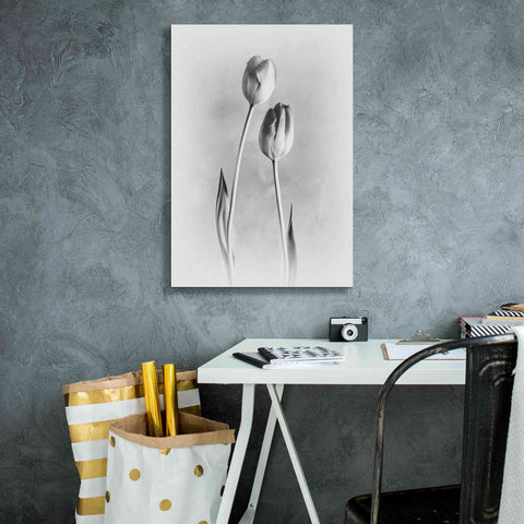 Image of 'Soft Tulips III' by Debra Van Swearingen, Canvas Wall Art,18 x 26