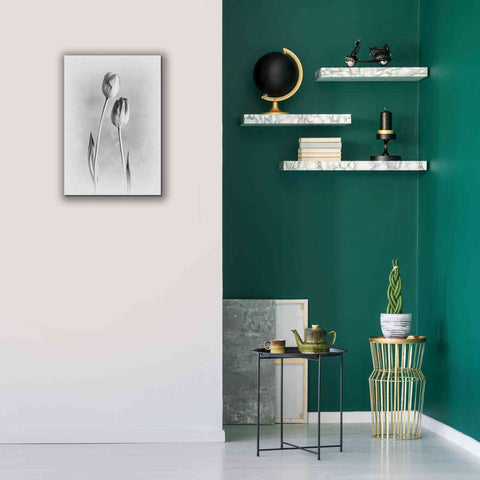 Image of 'Soft Tulips III' by Debra Van Swearingen, Canvas Wall Art,18 x 26