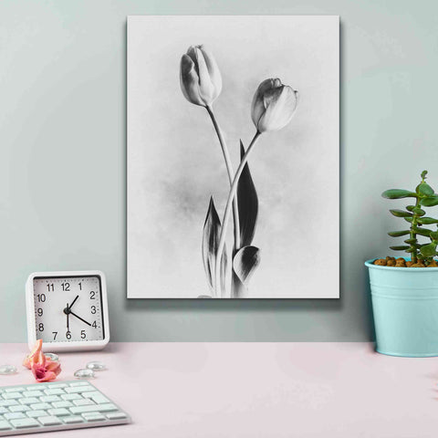 Image of 'Soft Tulips IV' by Debra Van Swearingen, Canvas Wall Art,12 x 16