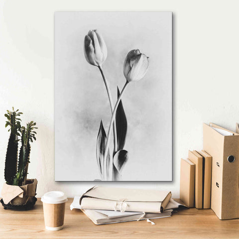 Image of 'Soft Tulips IV' by Debra Van Swearingen, Canvas Wall Art,18 x 26