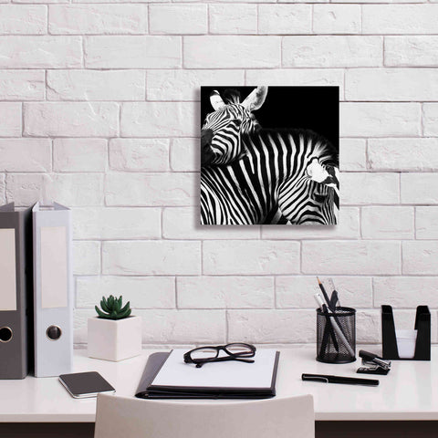 Image of 'Zebra VI' by Debra Van Swearingen, Canvas Wall Art,12 x 12