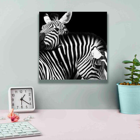 Image of 'Zebra VI' by Debra Van Swearingen, Canvas Wall Art,12 x 12