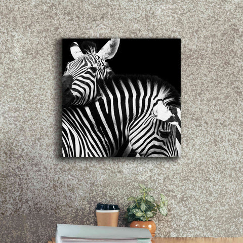Image of 'Zebra VI' by Debra Van Swearingen, Canvas Wall Art,18 x 18