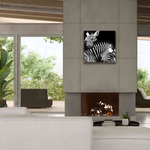 Image of 'Zebra VI' by Debra Van Swearingen, Canvas Wall Art,26 x 26