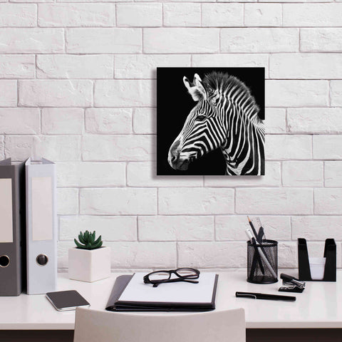 Image of 'Zebra VII' by Debra Van Swearingen, Canvas Wall Art,12 x 12