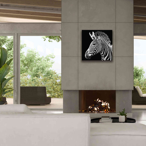 Image of 'Zebra VII' by Debra Van Swearingen, Canvas Wall Art,26 x 26