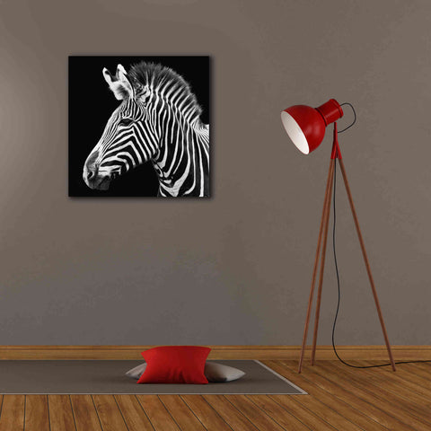 Image of 'Zebra VII' by Debra Van Swearingen, Canvas Wall Art,26 x 26